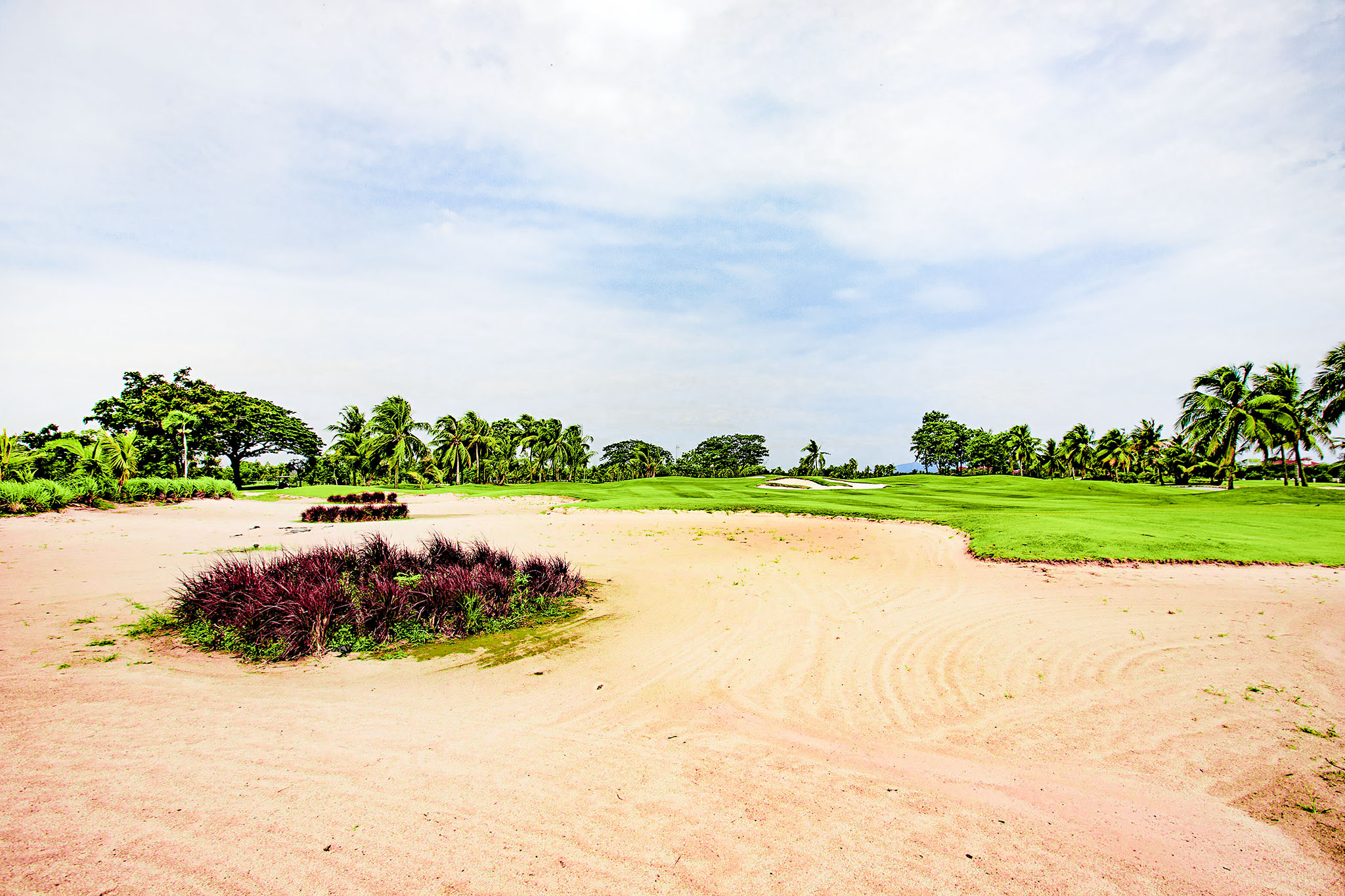 ⛳️Royal Lakeside Golf Club Royal Lakeside Golf Club